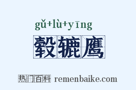 毂辘鹰是什么意思的图片